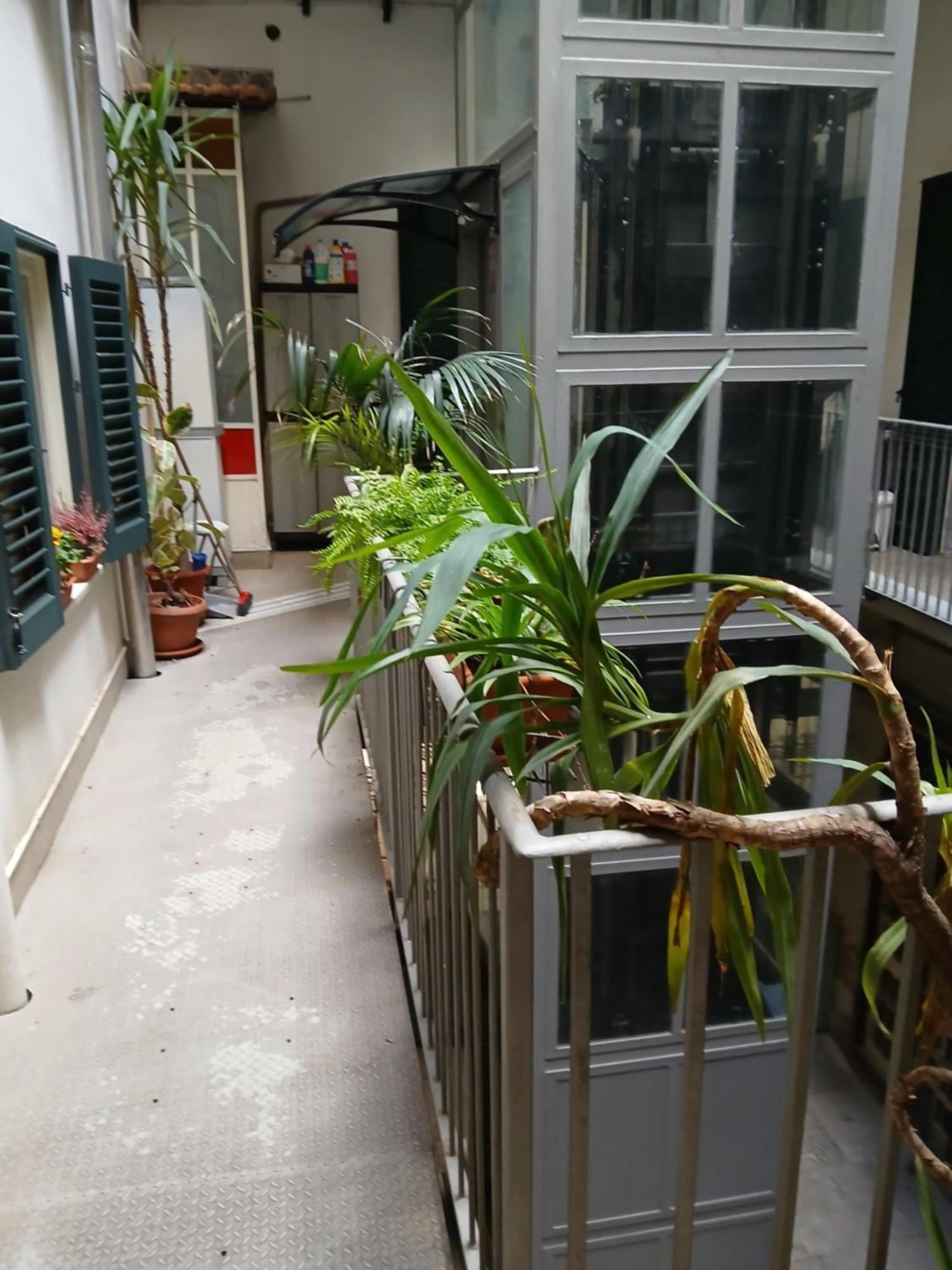 B&B Casa Degli Artisti 팔레르모 외부 사진