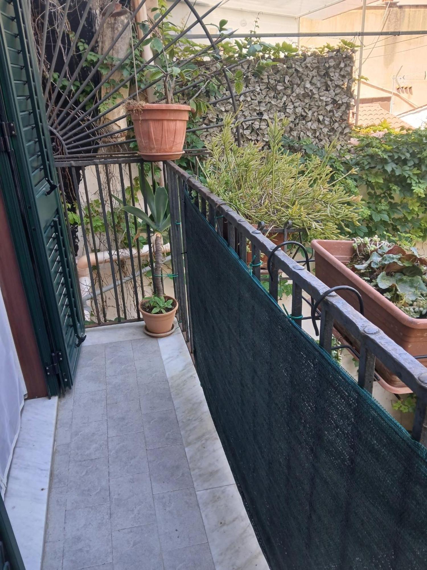 B&B Casa Degli Artisti 팔레르모 외부 사진